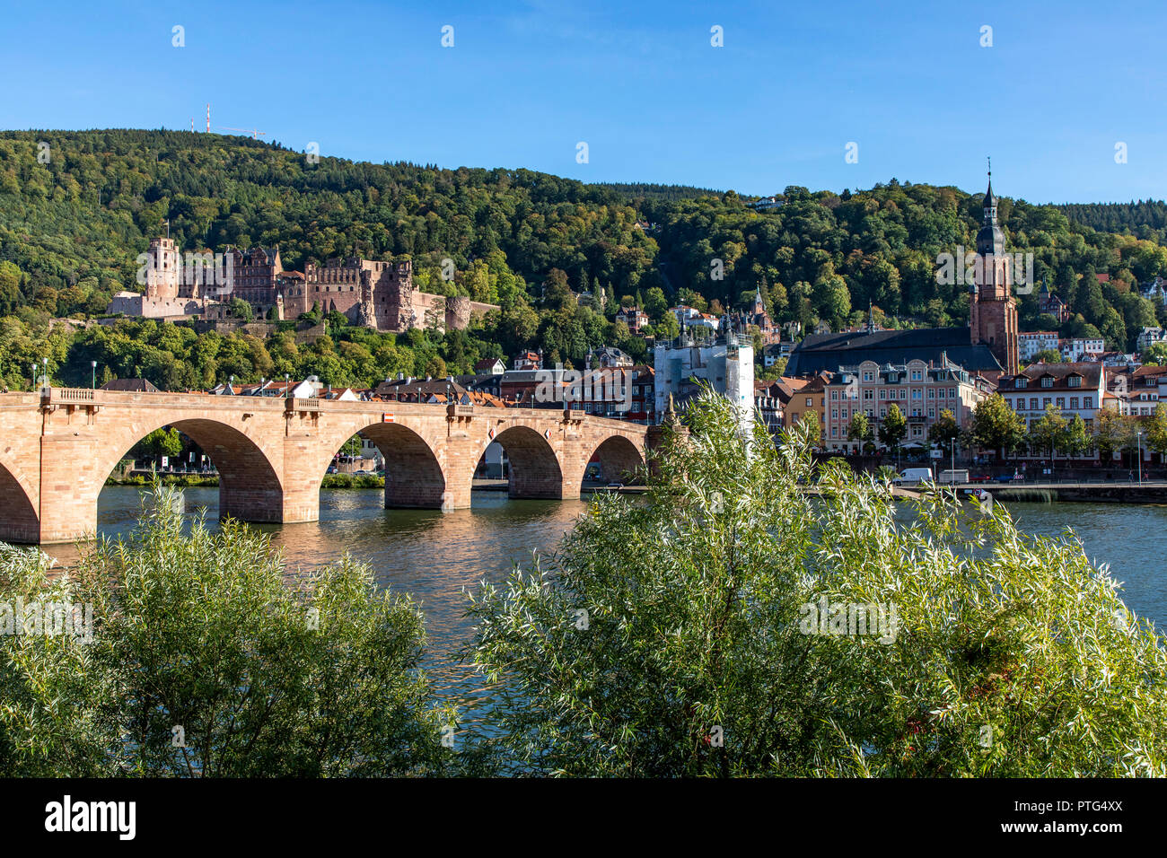 Il Vecchio Ponte sul fiume Neckar, di fronte alla città vecchia di Heidelberg, Castello di Heidelberg, Germania, Foto Stock