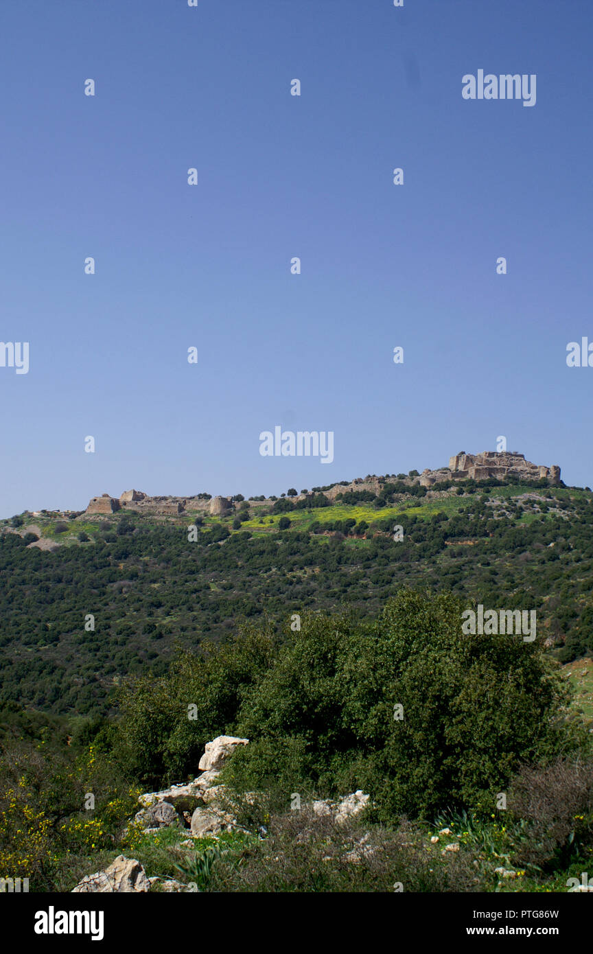 Nimrod Israele la bibbia storico castello Foto Stock