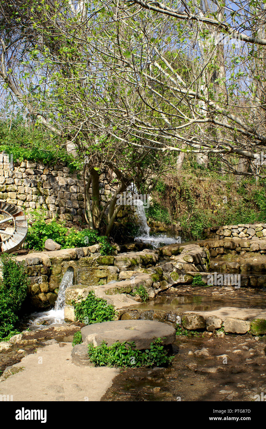 Acqua primavera paesaggio di Israele Foto Stock
