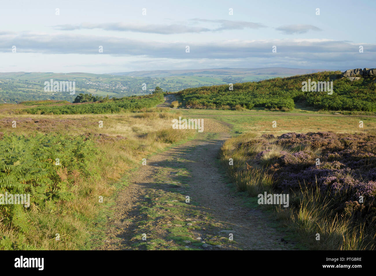 Vista del sentiero su Ilkley Moor Rombalds Moor, Ilkley, West Yorkshire, Inghilterra, West Yorkshire, Agosto Foto Stock