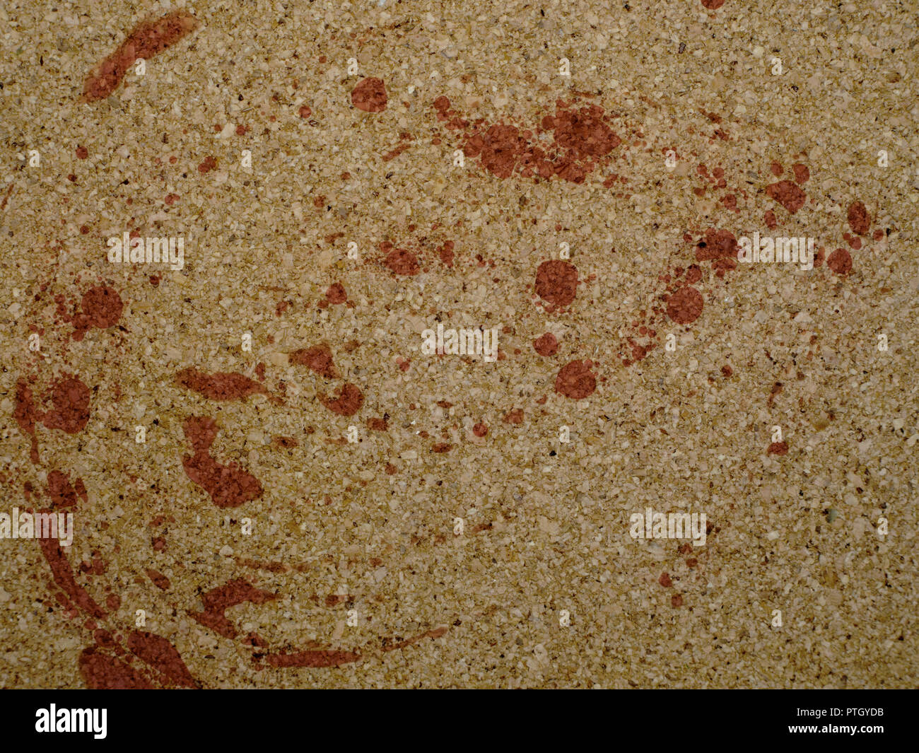 Macchia di sangue, sbavature sul sughero pavimento del bagno. Omicidio scena forse. Foto Stock