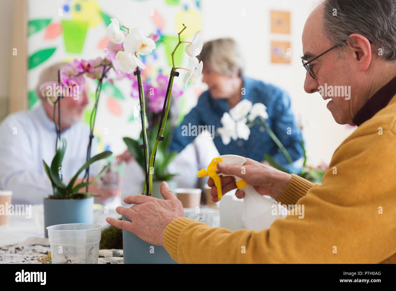 Attivo uomo senior con la bottiglia spray di orchidea di irrigazione nella composizione floreale di classe Foto Stock