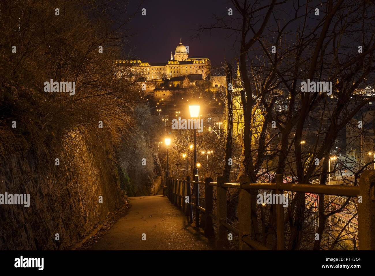 Il Castello di Buda a Budapest Foto Stock