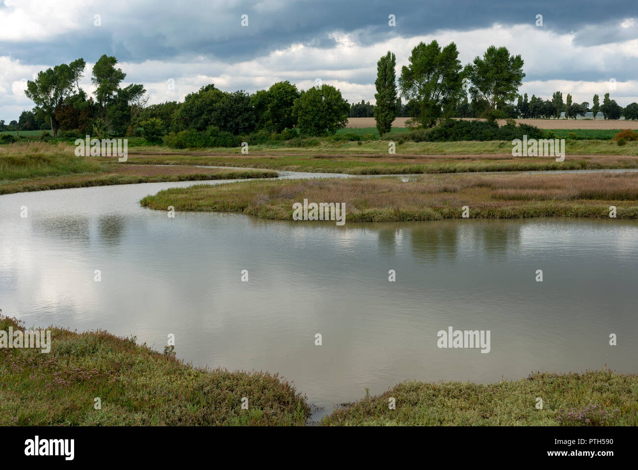 Barthorp's Creek Shingle Street Suffolk in Inghilterra Foto Stock