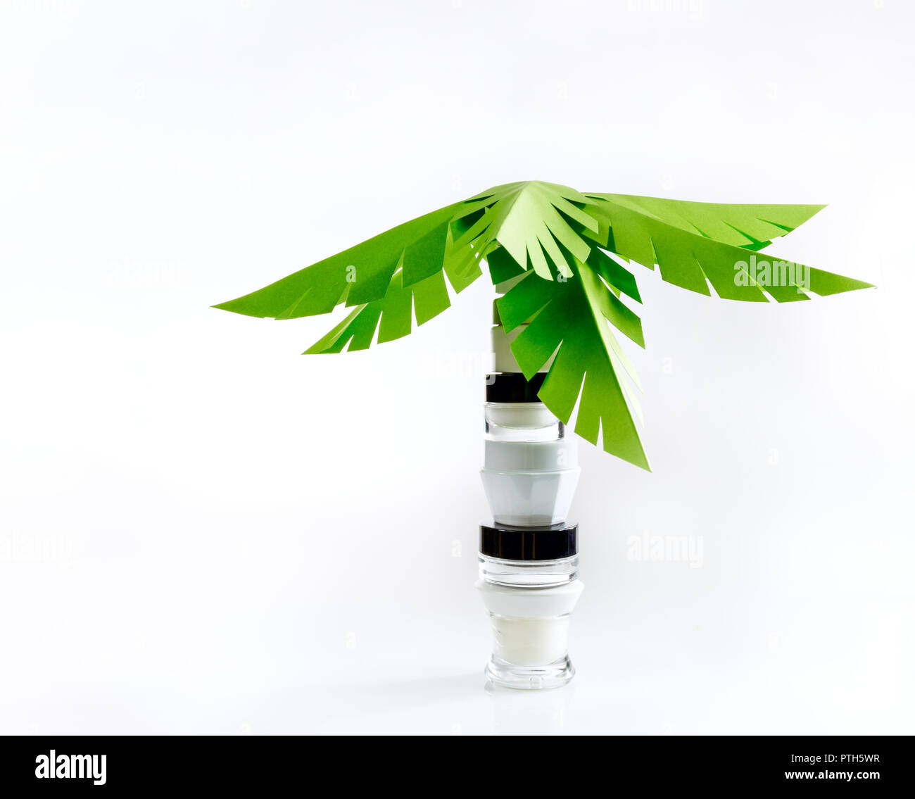 Palm di foglie di carta e i vasetti di crema per il viso Foto Stock