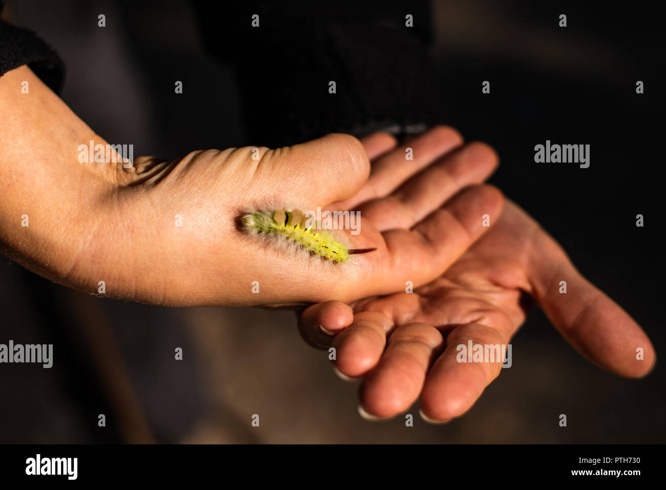 Caterpillar su un lato Foto Stock