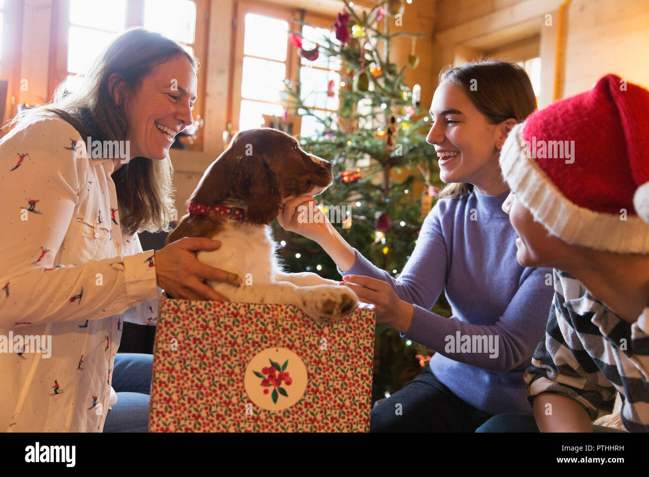 Famiglia giocando con il cane in regalo di Natale box Foto Stock