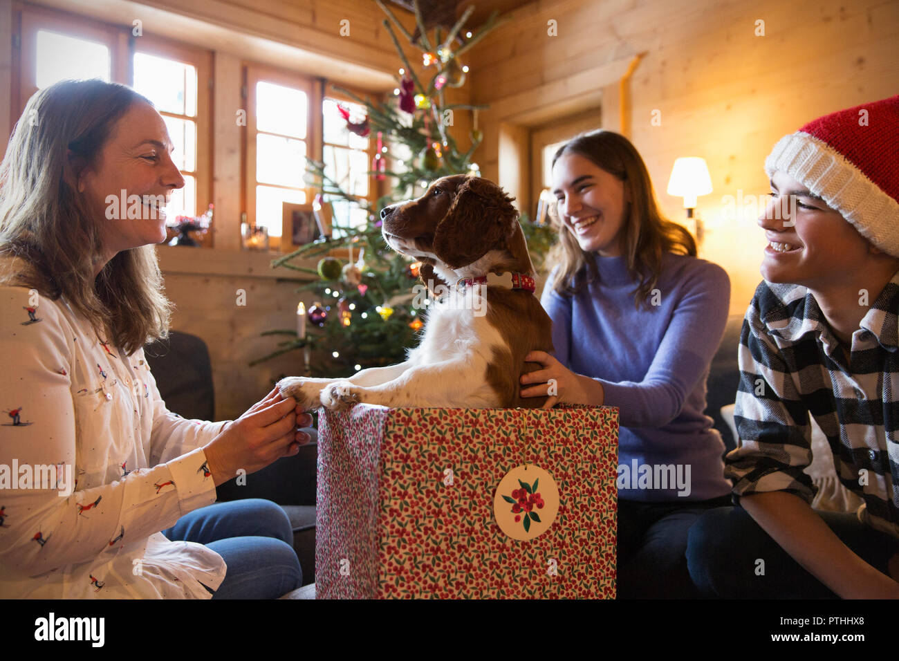 La famiglia felice con il cane in regalo di Natale box Foto Stock