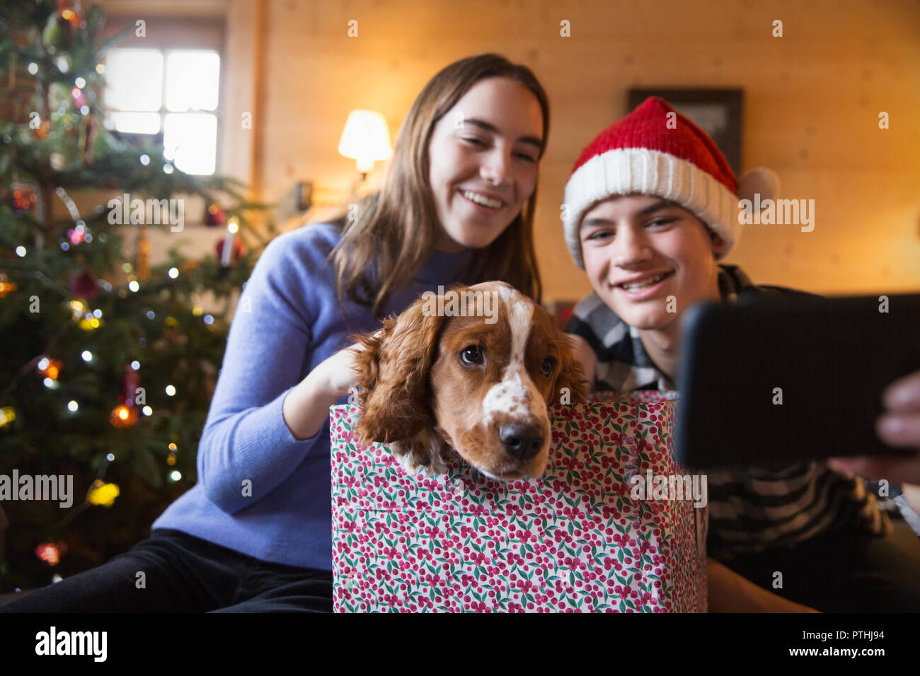 Fratello e Sorella tenendo selfie con cane in regalo di Natale box Foto Stock