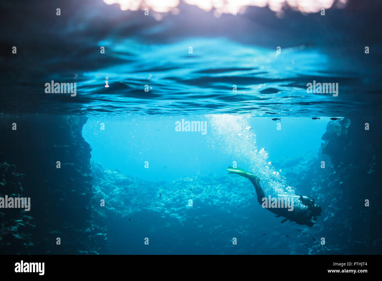 Donna immersioni subacquee, Vava'u, Tonga, Oceano Pacifico Foto Stock
