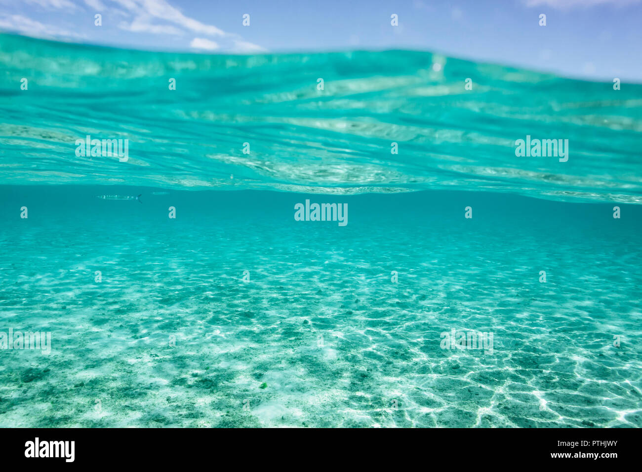 Tranquillo oceano blu e la superficie dell'acqua, Vava'u, Tonga, Oceano Pacifico Foto Stock