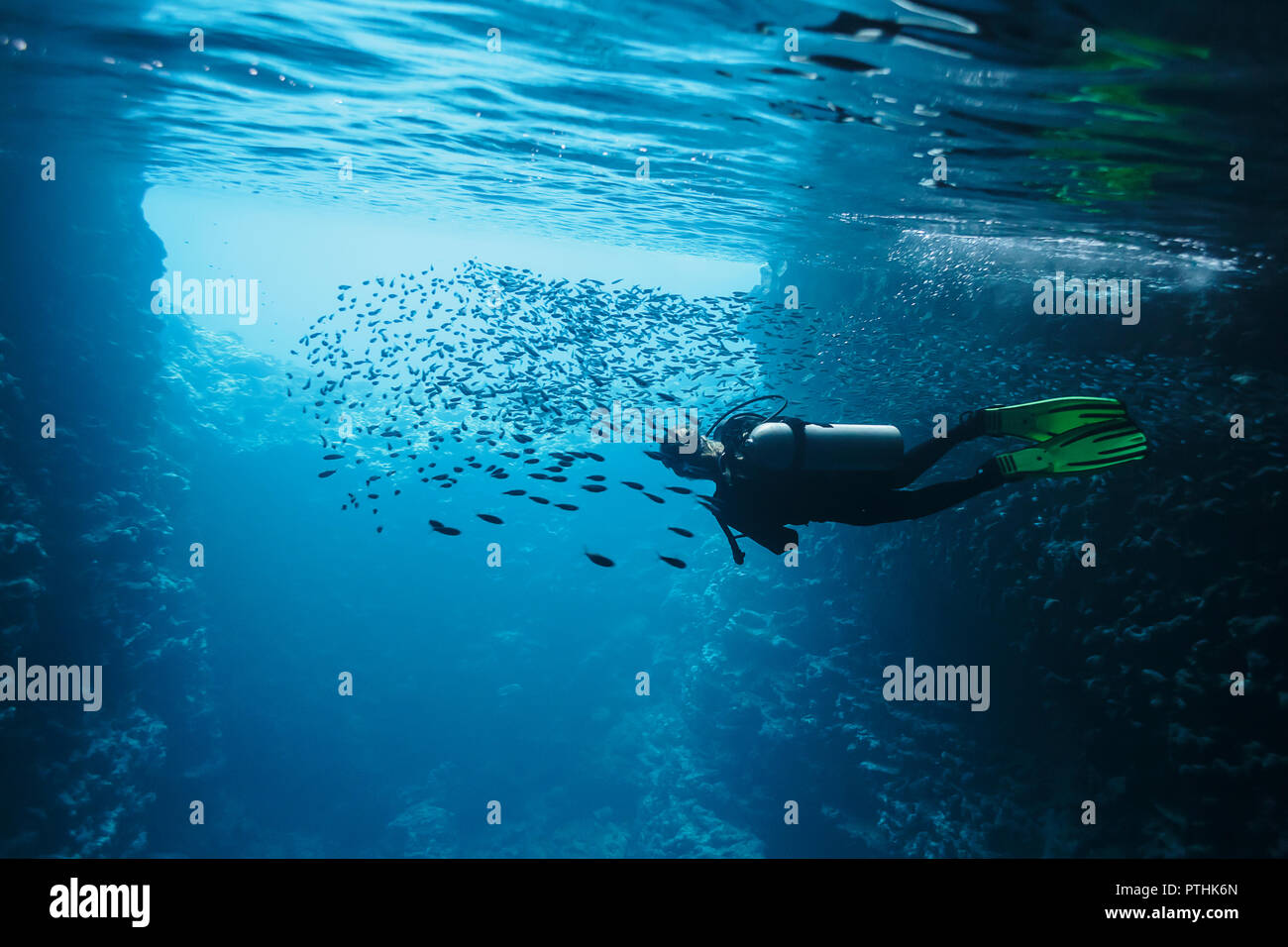 Donna scuba diving underwater tra scuola di pesce, Vava'u, Tonga, Oceano Pacifico Foto Stock