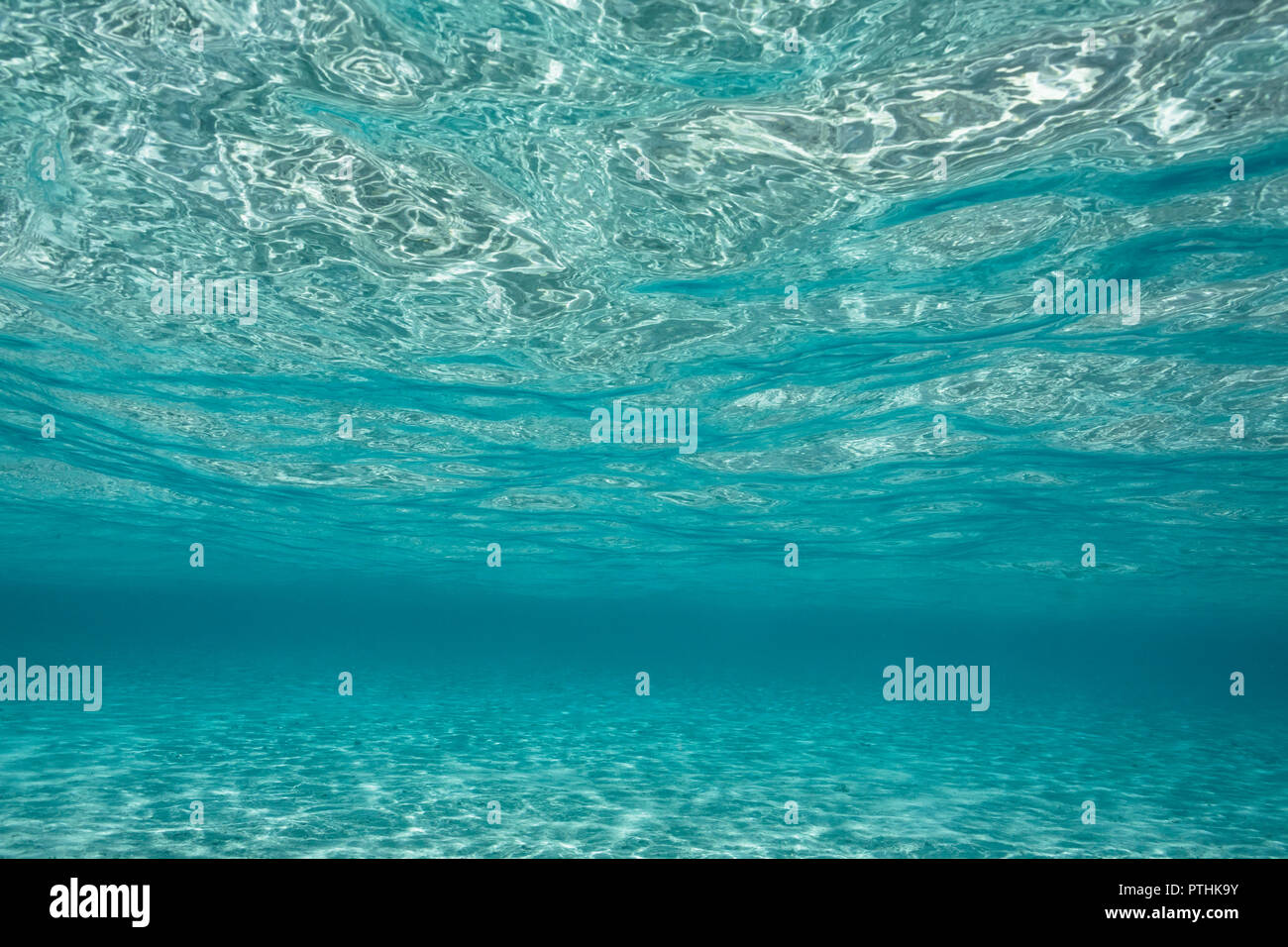 Vista subacquea tranquillo oceano blu, Vava'u, Tonga, Oceano Pacifico Foto Stock