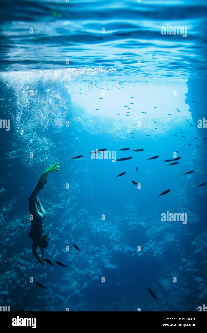 Giovane donna subacquee snorkeling tra i pesci, Vava'u, Tonga, Oceano Pacifico Foto Stock