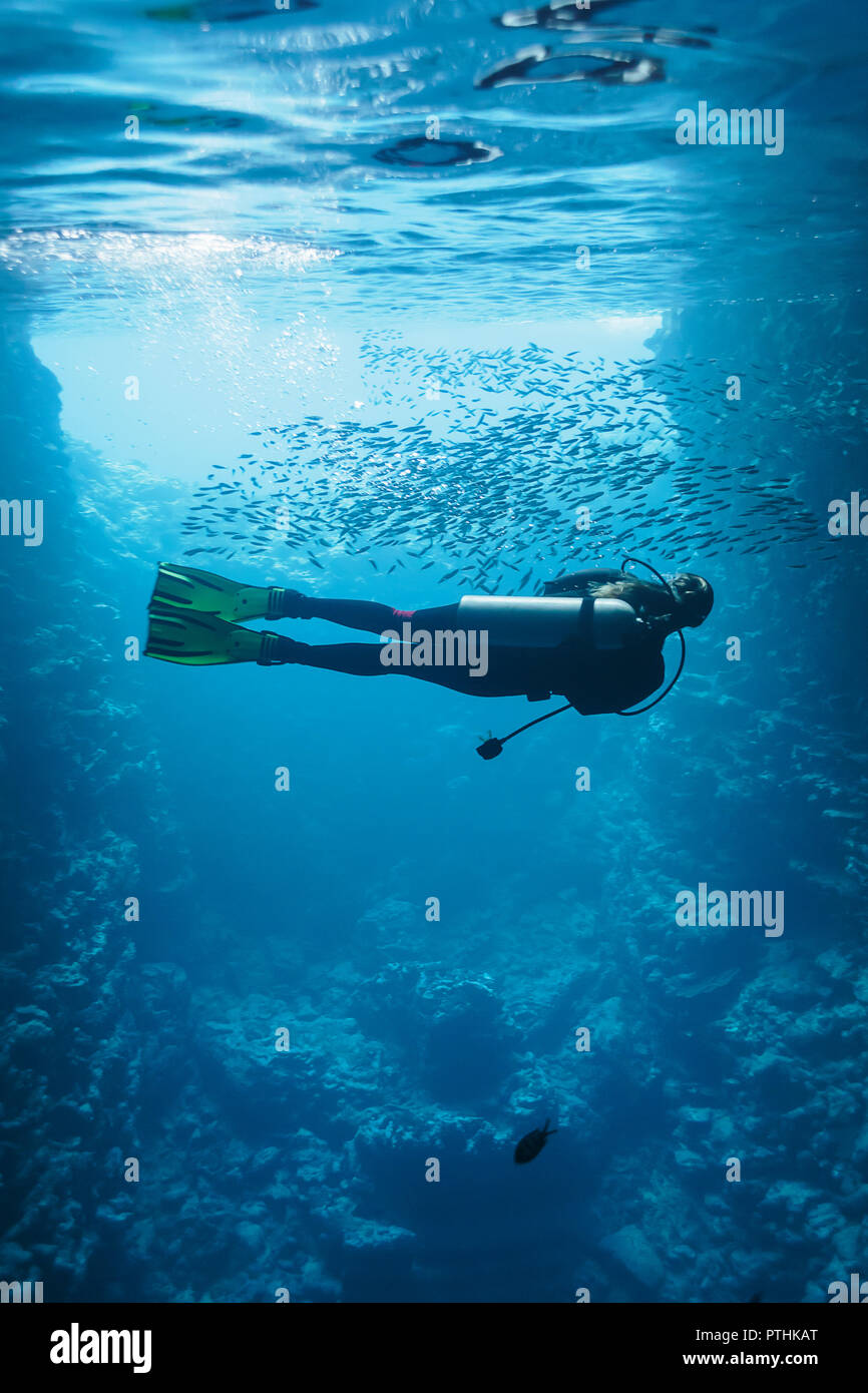 Giovane donna scuba diving underwater tra scuola di pesce, Vava'u, Tonga, Oceano Pacifico Foto Stock