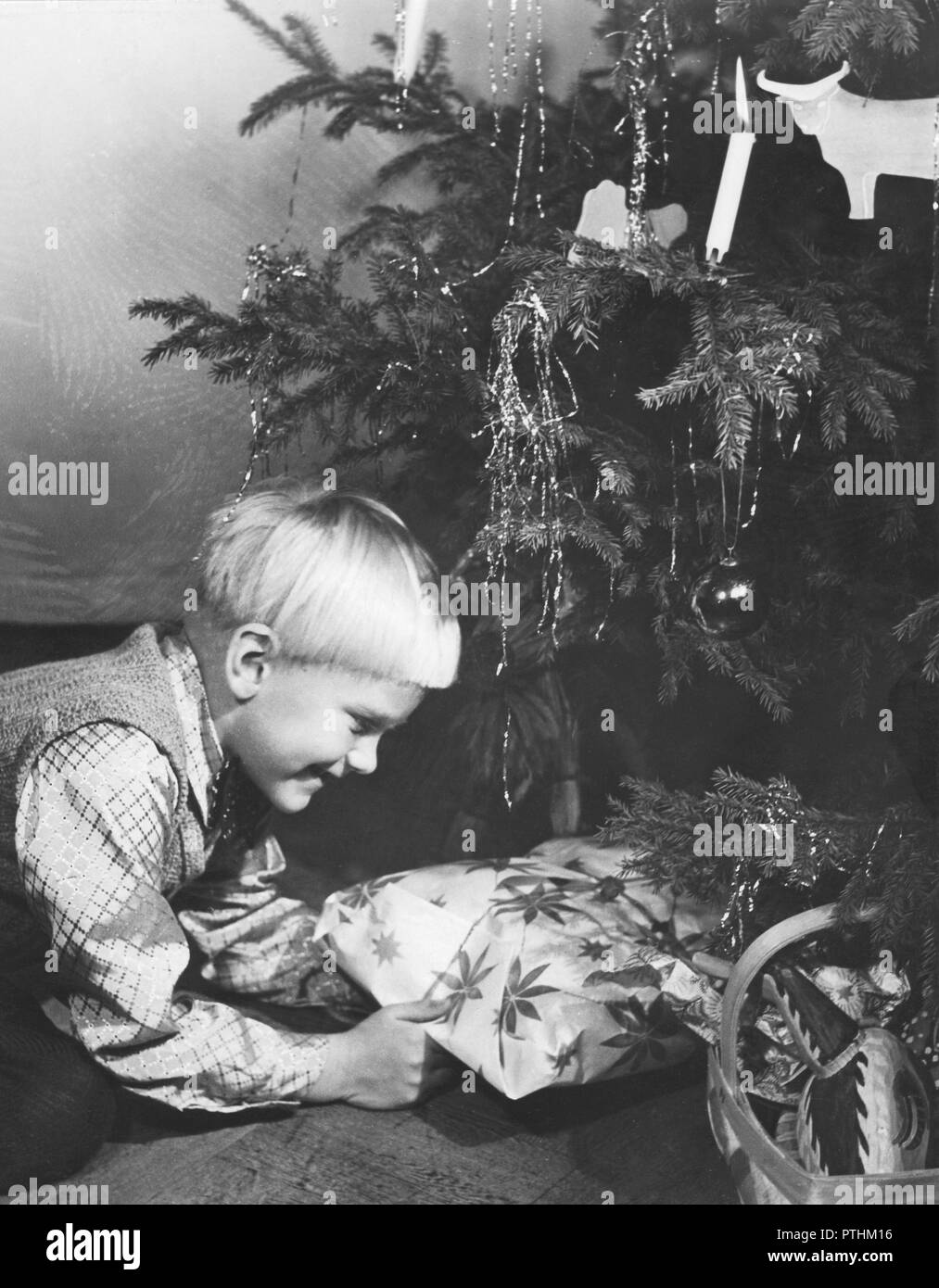 Natale nel 1940s. Un giovane ragazzo è curioso di vedere qual è il regalo di Natale che giace sotto un albero di natale. La Svezia 1940s Foto Stock