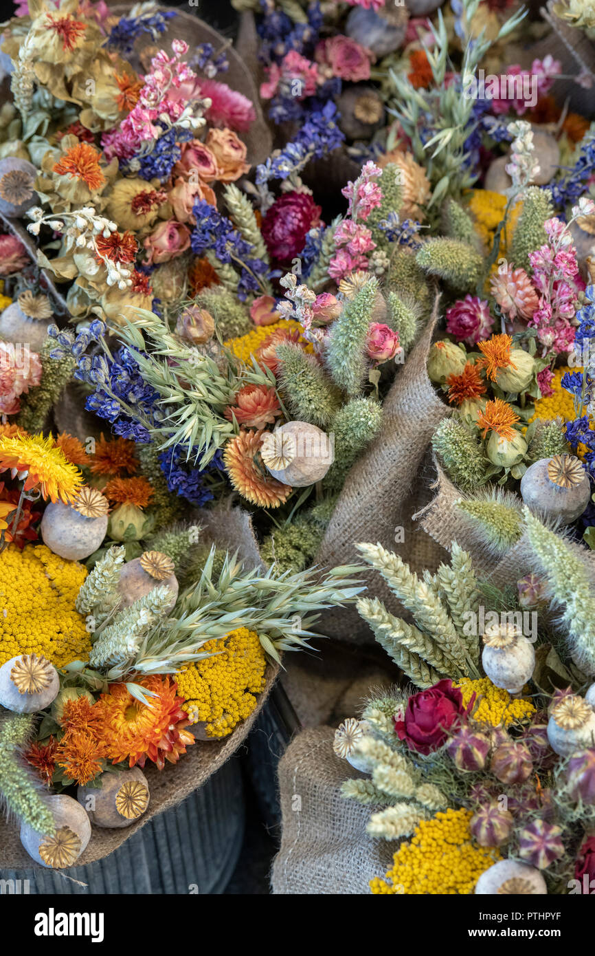 Colorati bouquet di fiori secchi. Esposizione floreale. Inghilterra Foto Stock