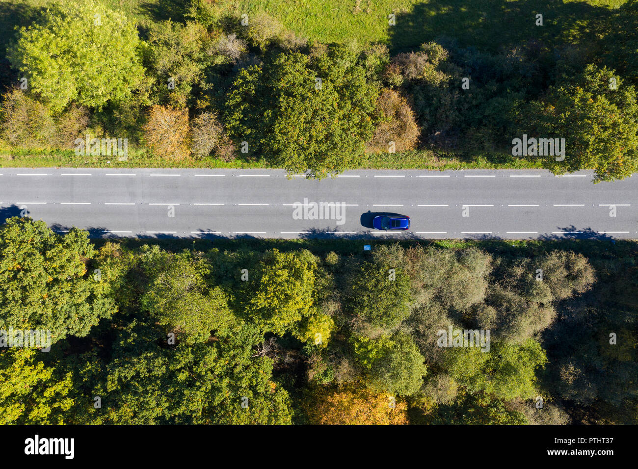 Vista aerea di un auto guidando su una strada attraverso una foresta Foto Stock