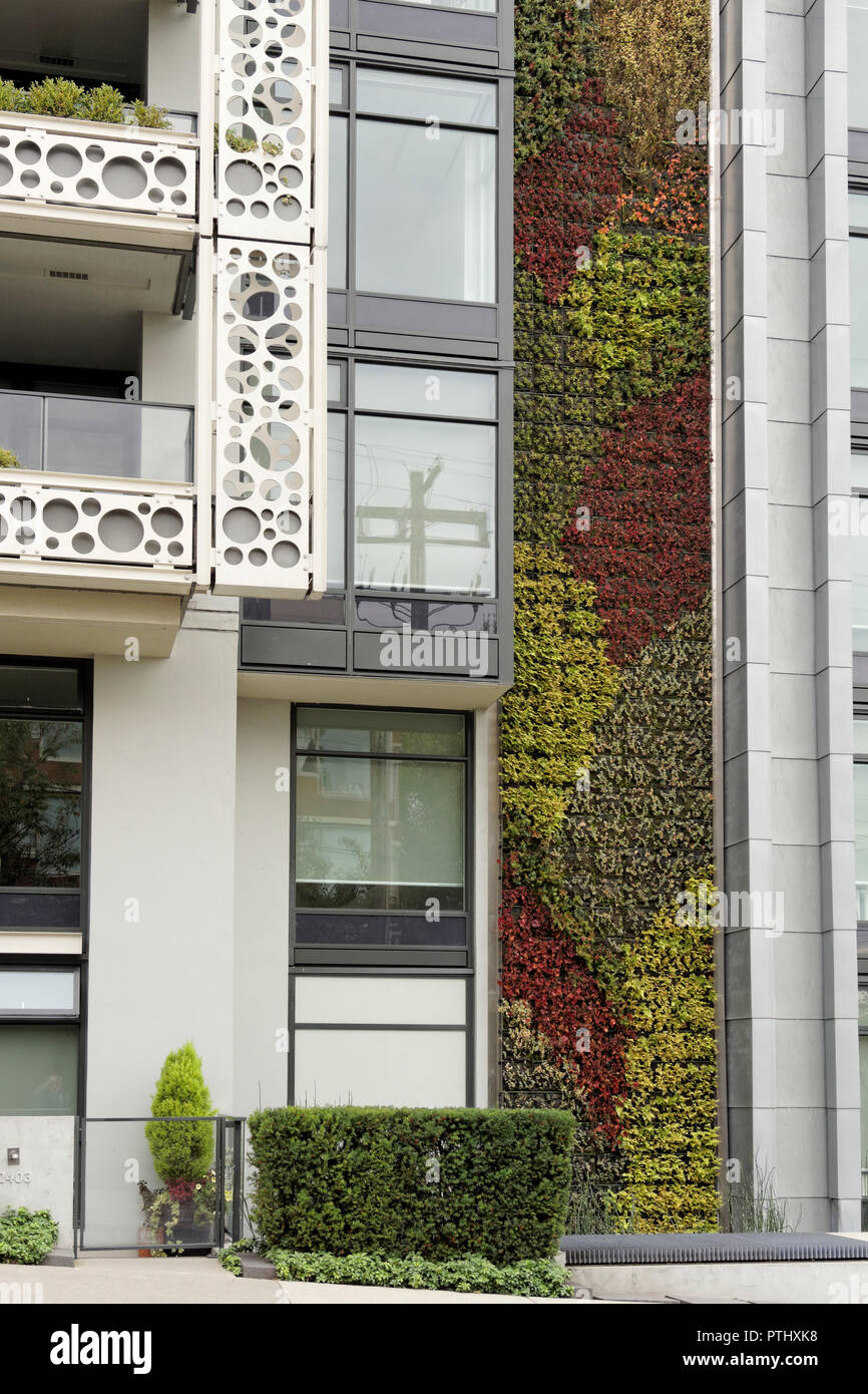 Parete Verde o muro vivente giardino verticale sul lato del moderno edificio residenziale in Vancouver, BC, Canada Foto Stock