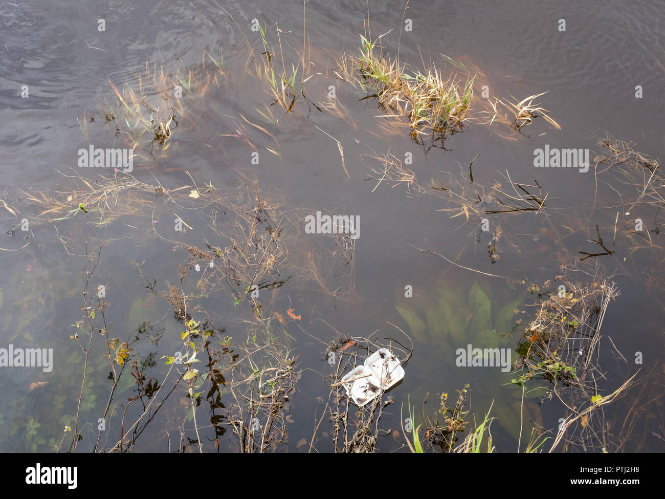 Container da asporto vuoto nel fiume Nith alle Whitesands, nel centro della città di Dumfries, in Scozia. Foto Stock