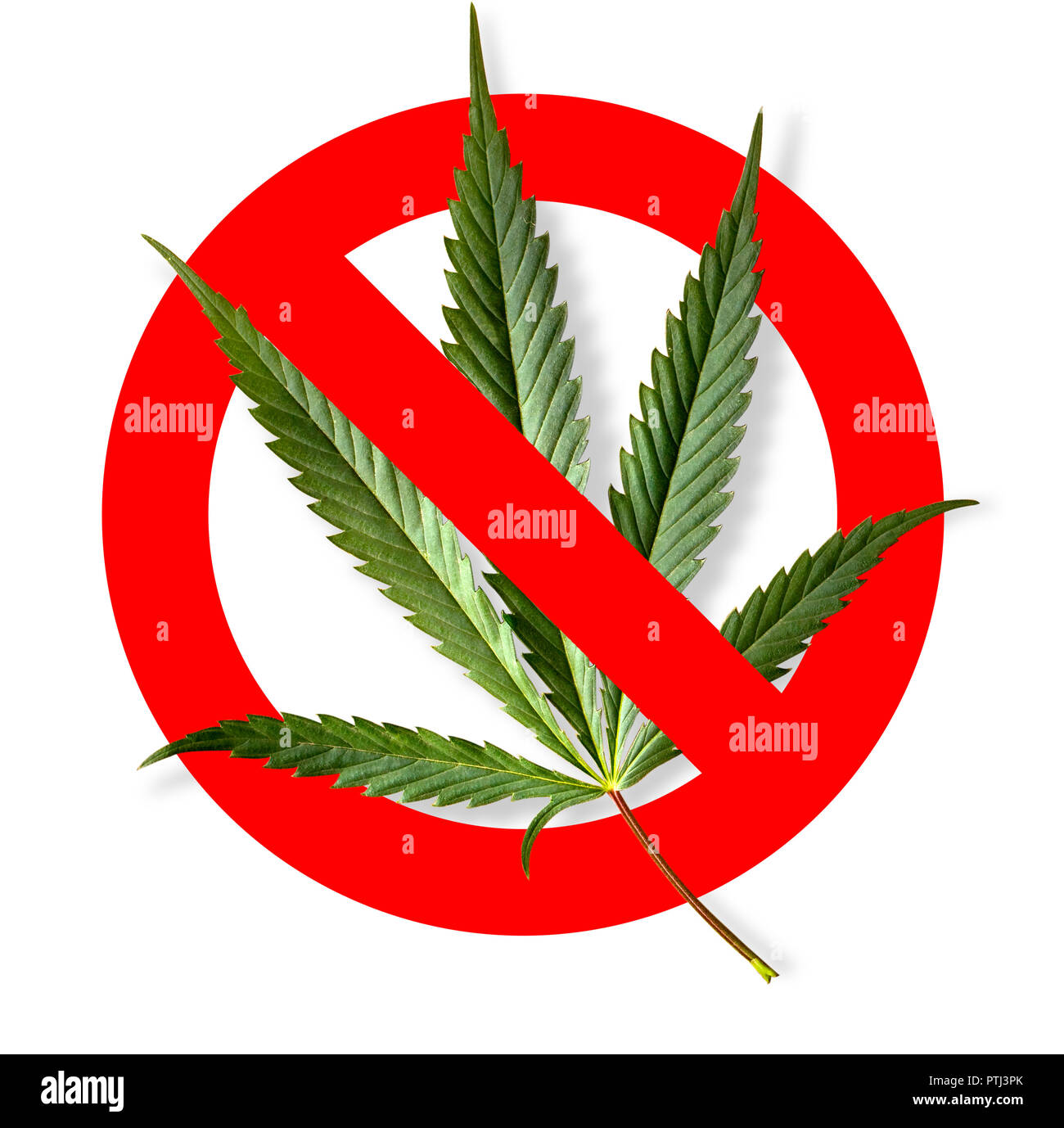NO marijuana segno simbolico cerchio rosso foglia verde sullo sfondo bianco Foto Stock