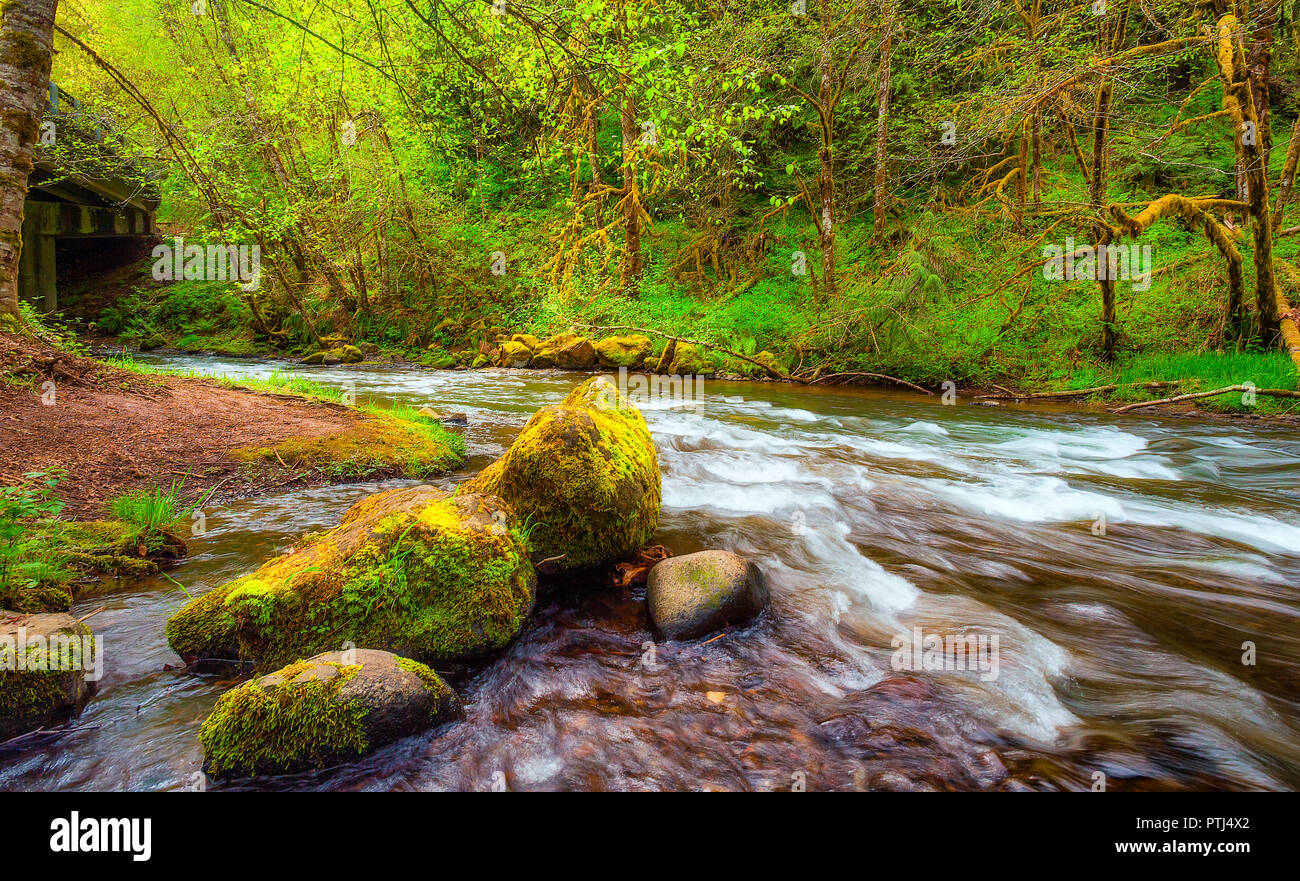 Scoggins Creek è la principale fonte di approvvigionamento di acqua per Hagg lago. Foto Stock