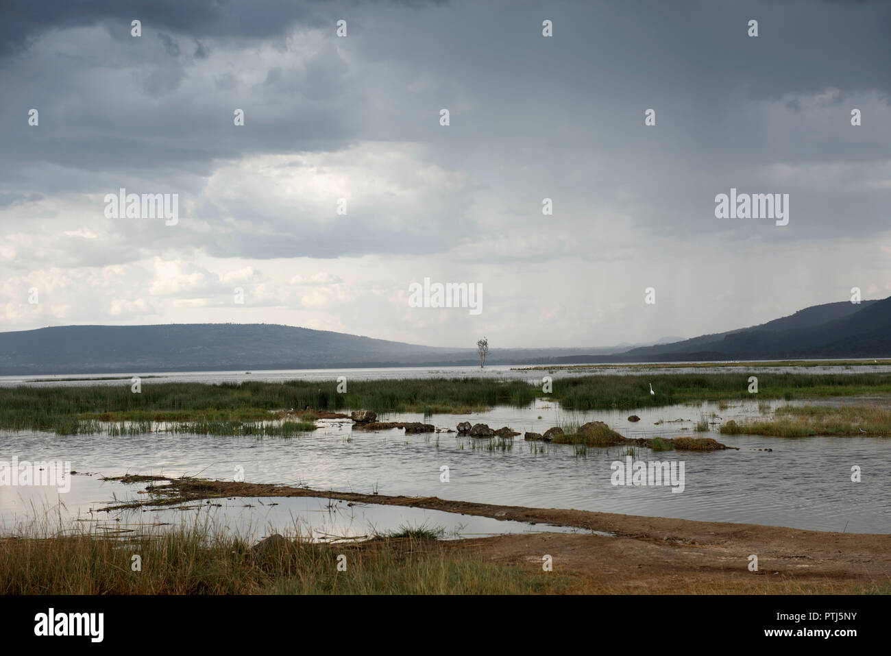 Lake Nakuru National Park dopo le inondazioni. Aumento dei livelli delle acque nel 2014 costretto a parcheggiare la famosa fenicotteri a fuggire. Foto Stock