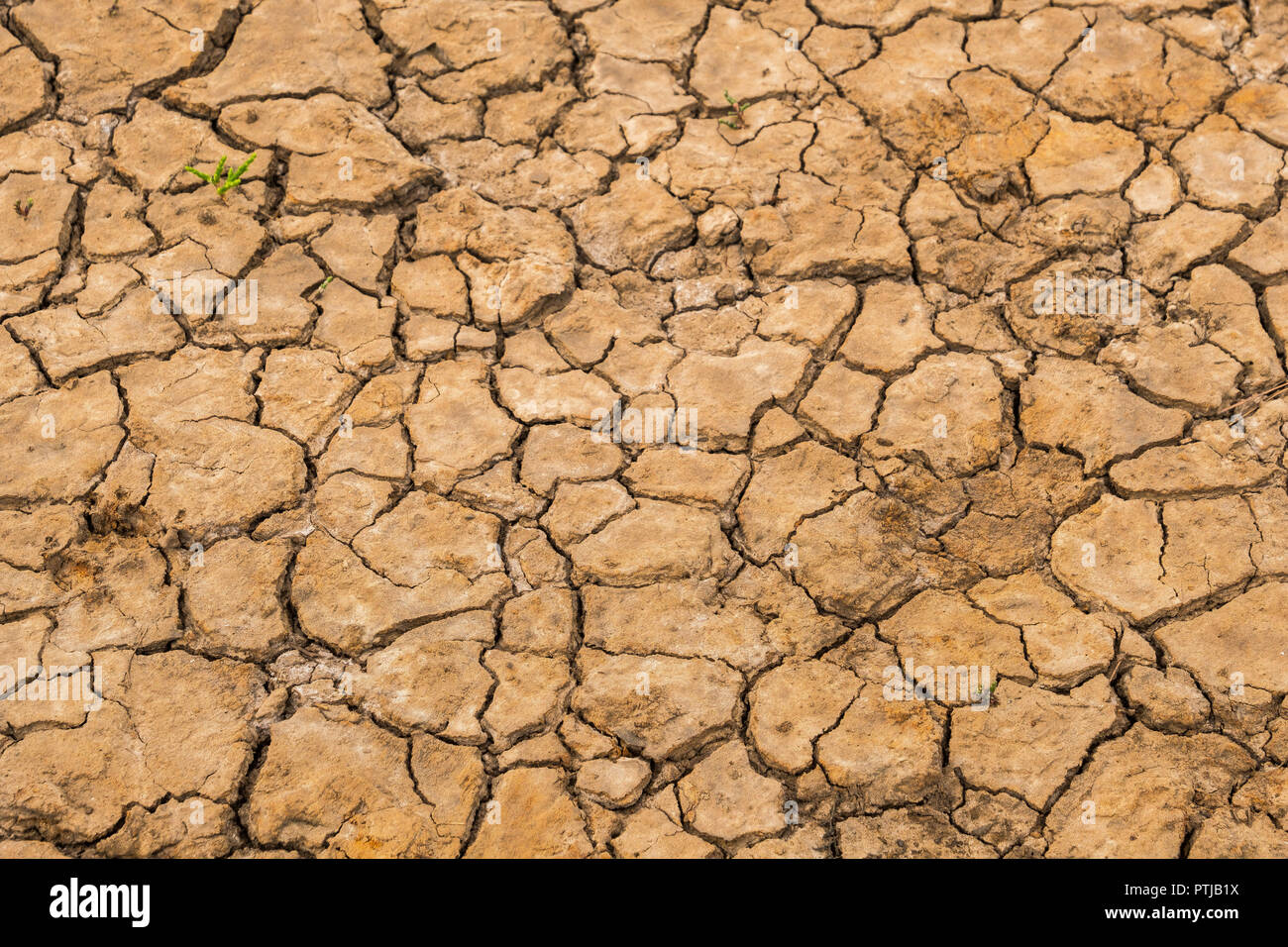 Il fango incrinato nella lunga estate secca. Foto Stock