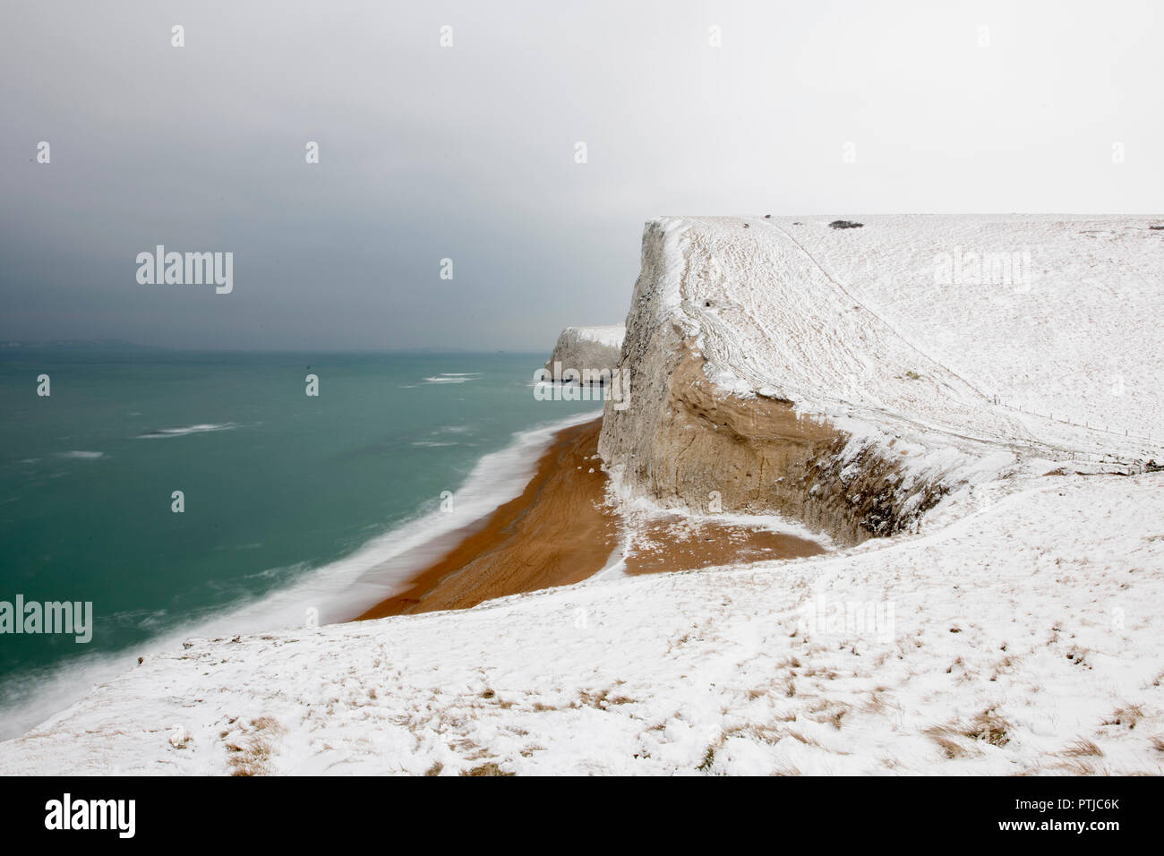 Bat la testa sotto la neve su la costa del Dorset. Foto Stock