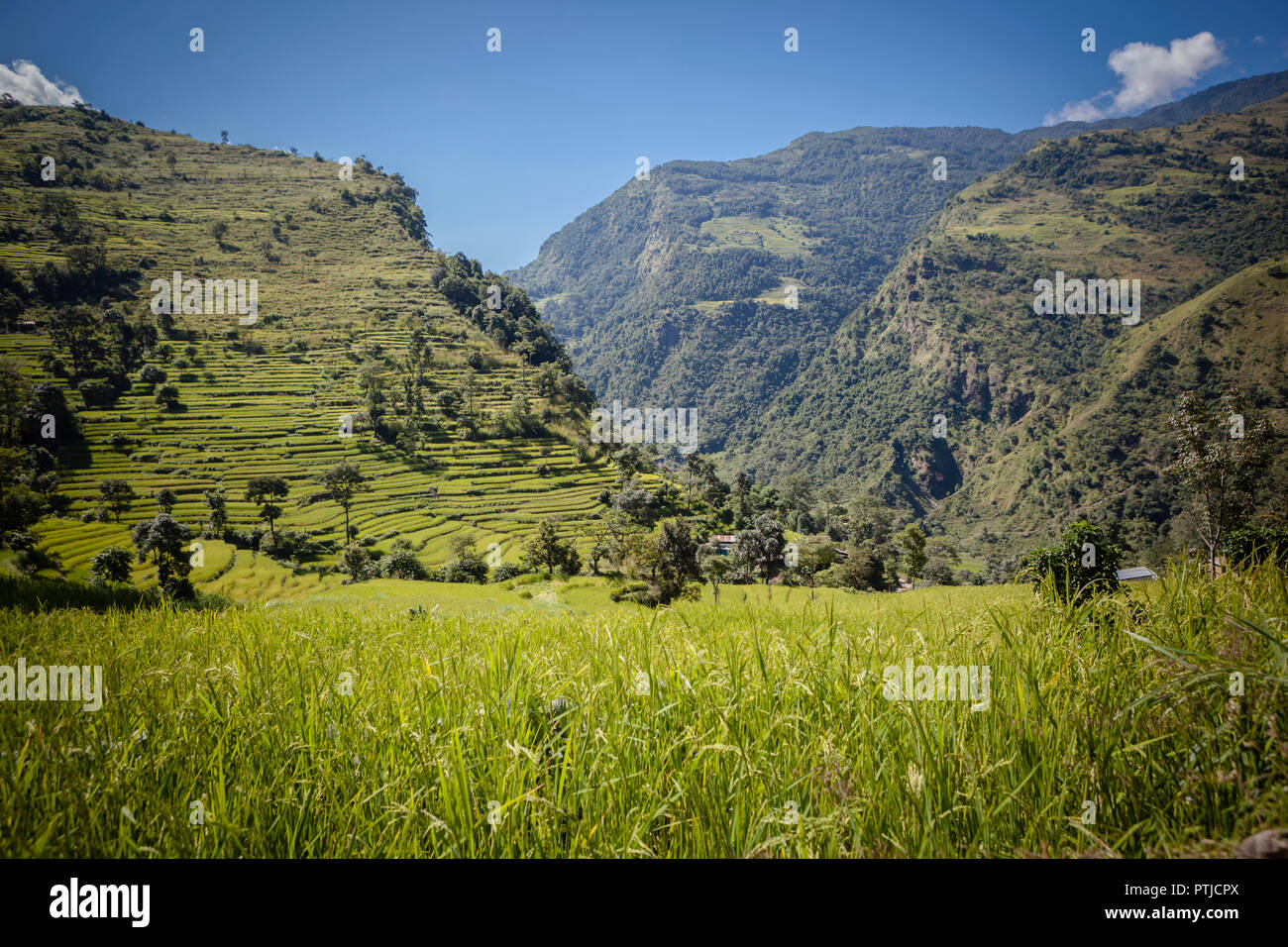 Viste attraverso i campi di riso e la valle durante una escursione sul sentiero Anapurna. Foto Stock