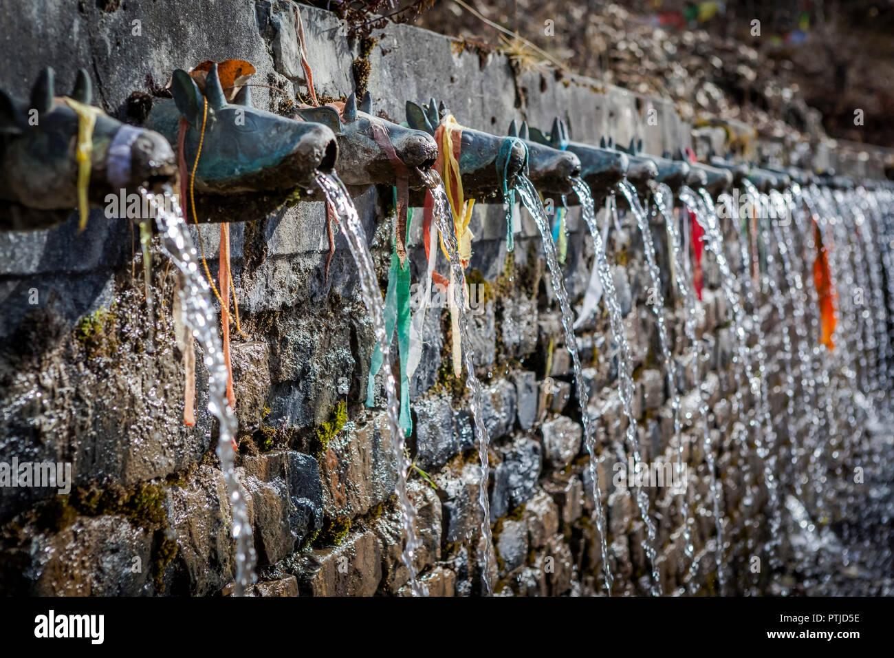 Alcuni dei cento e otto santi fontane di Muktinath tempio indù. Foto Stock