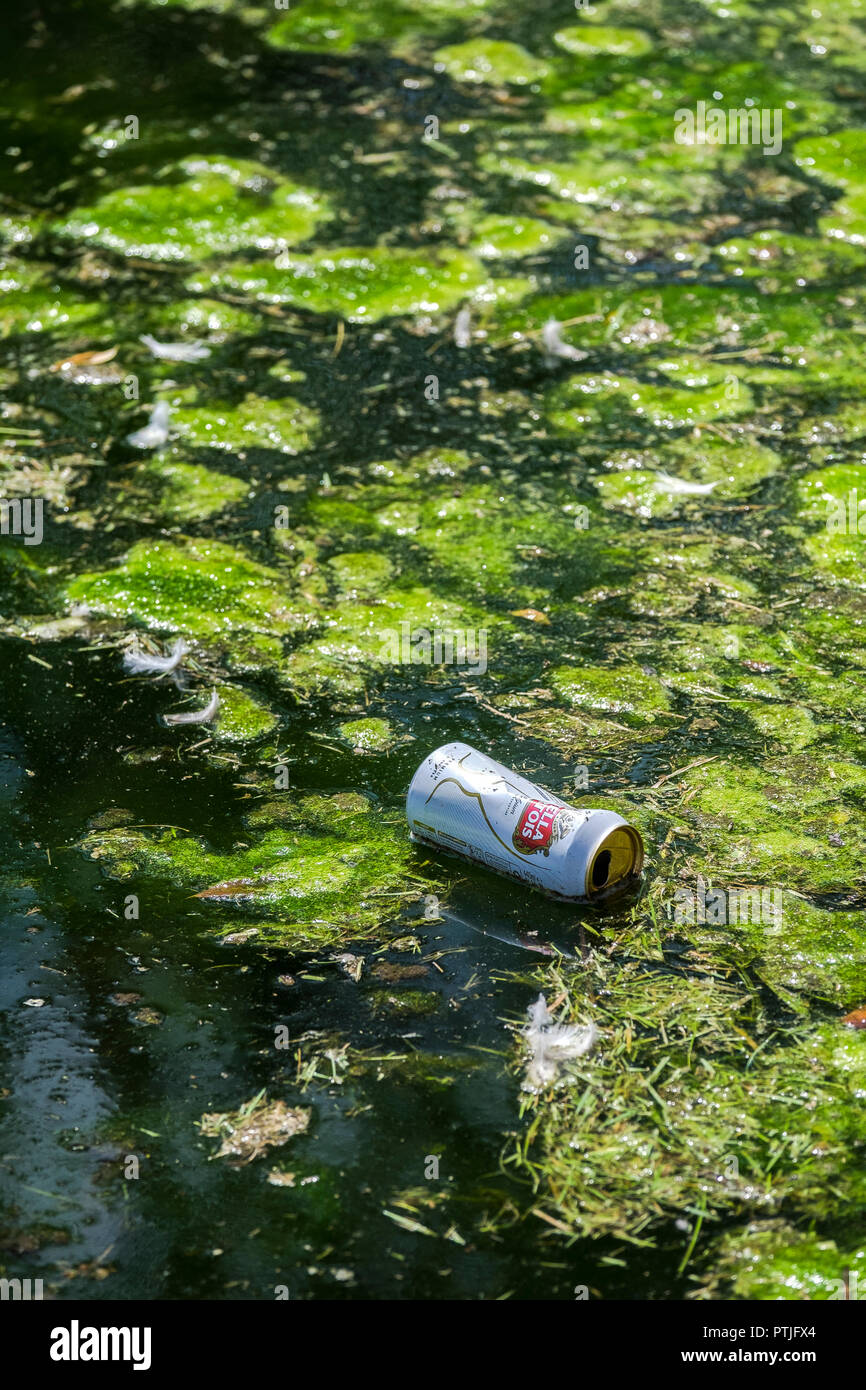 Una lattina vuota di Stella Artois gettati in un stagno. Foto Stock