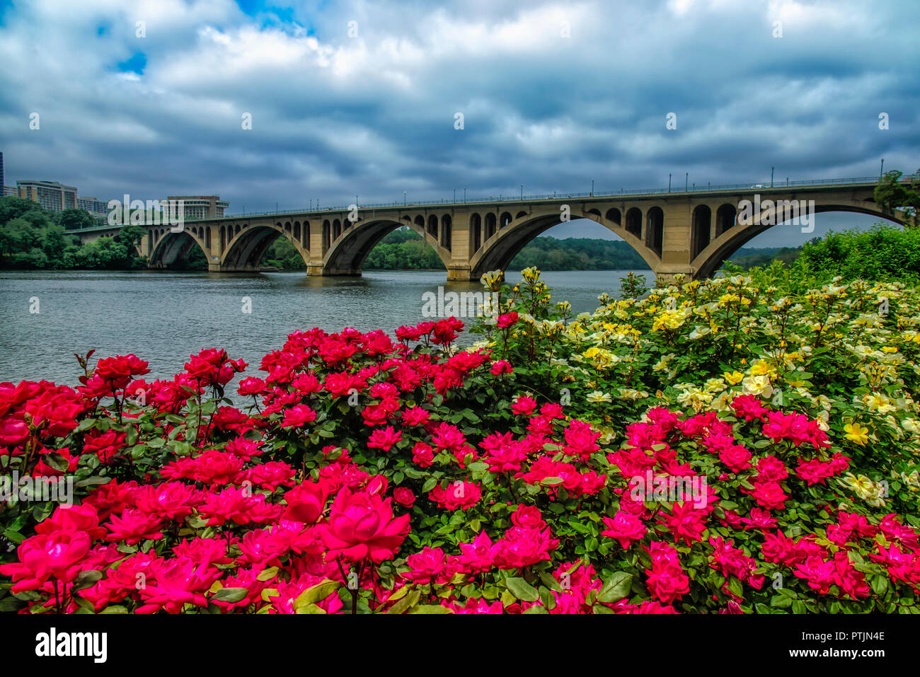Francis Scott Key Memorial ponte che attraversa il fiume Potomac in Washington DC Foto Stock