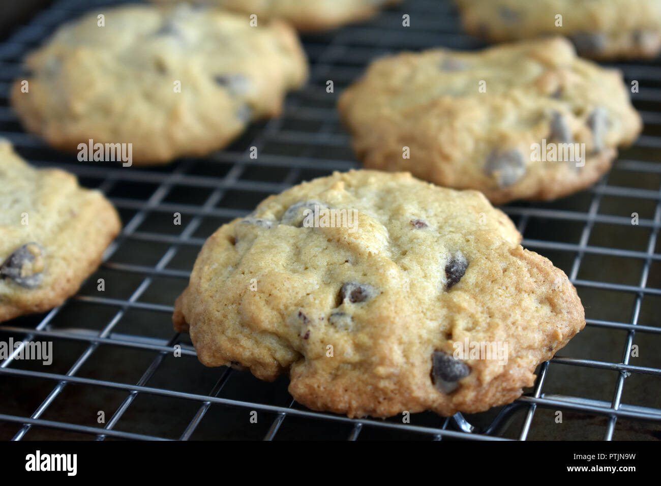 Con scaglie di cioccolato e noci pecan Cookies sul filo di un raffreddamento per rack Foto Stock