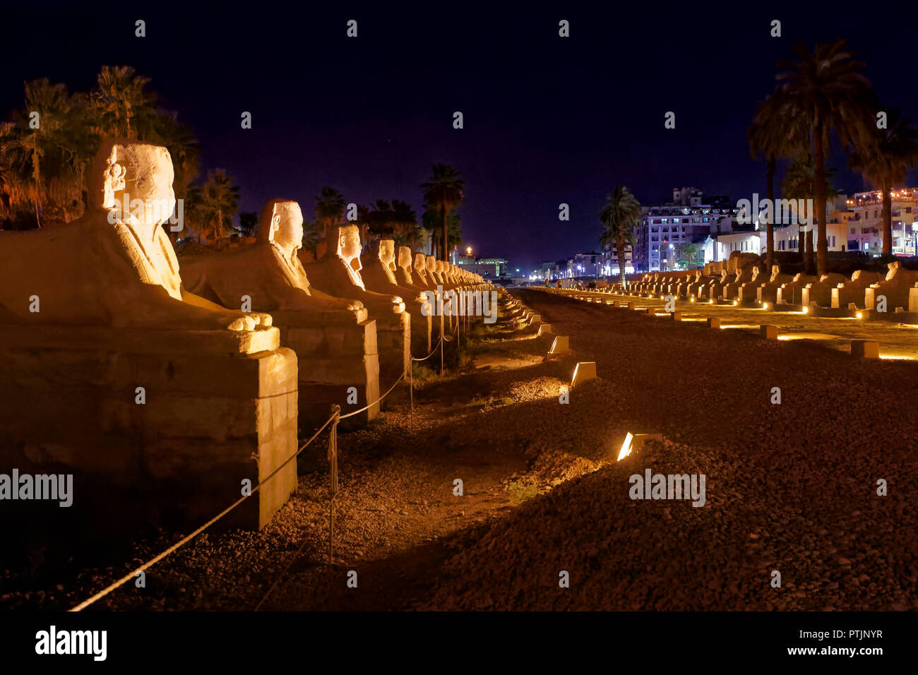 Avenue di testa umana sfingi che collega Tempio di Karnak e Luxor Tempio di Luxor Foto Stock