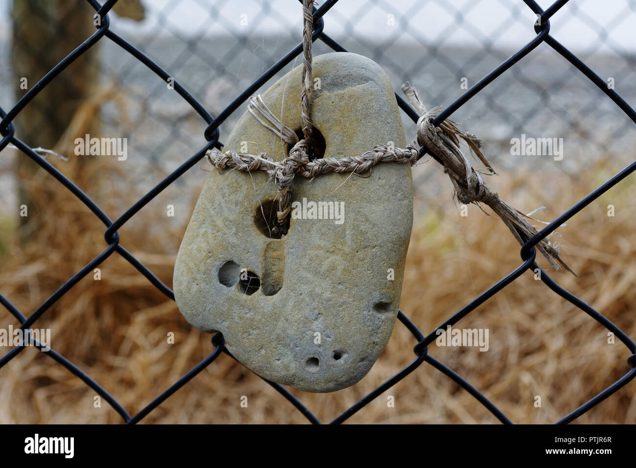 Arte Naturale, utilizzando una pietra naturale fori per legarlo a un recinto di filo Foto Stock