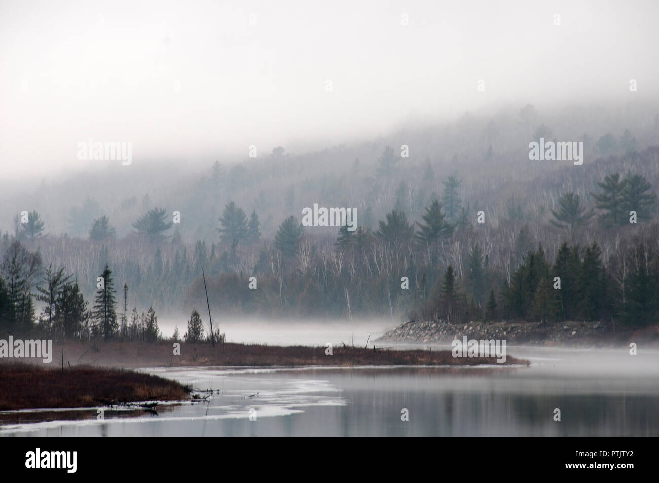 Foggy scenario visualizzando la sua morbida nebbia sulla natura. Foto Stock