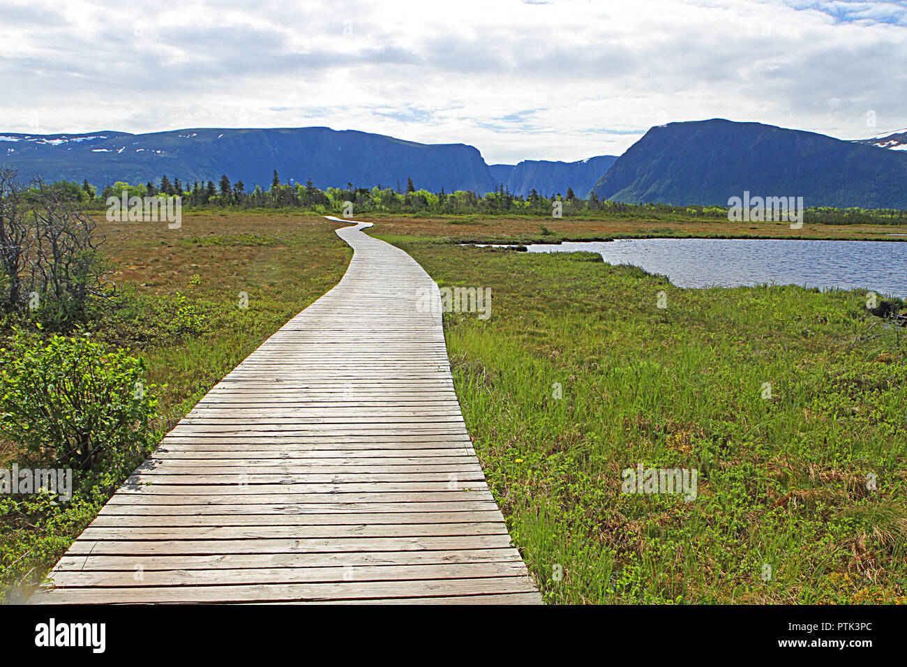 Western Brook laghetto e Parco Nazionale Gros Morne, Terranova in Canada, boardwalk,percorso e montagne del piano portapaziente Foto Stock