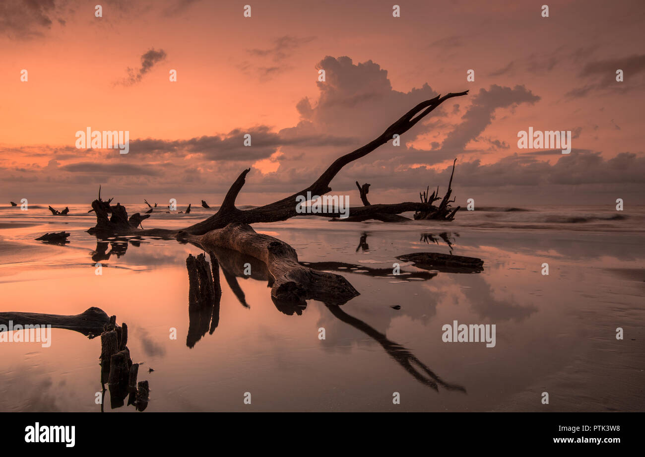 Sunrise su una calma e spiaggia vuota con driftwood e riflessioni Foto Stock