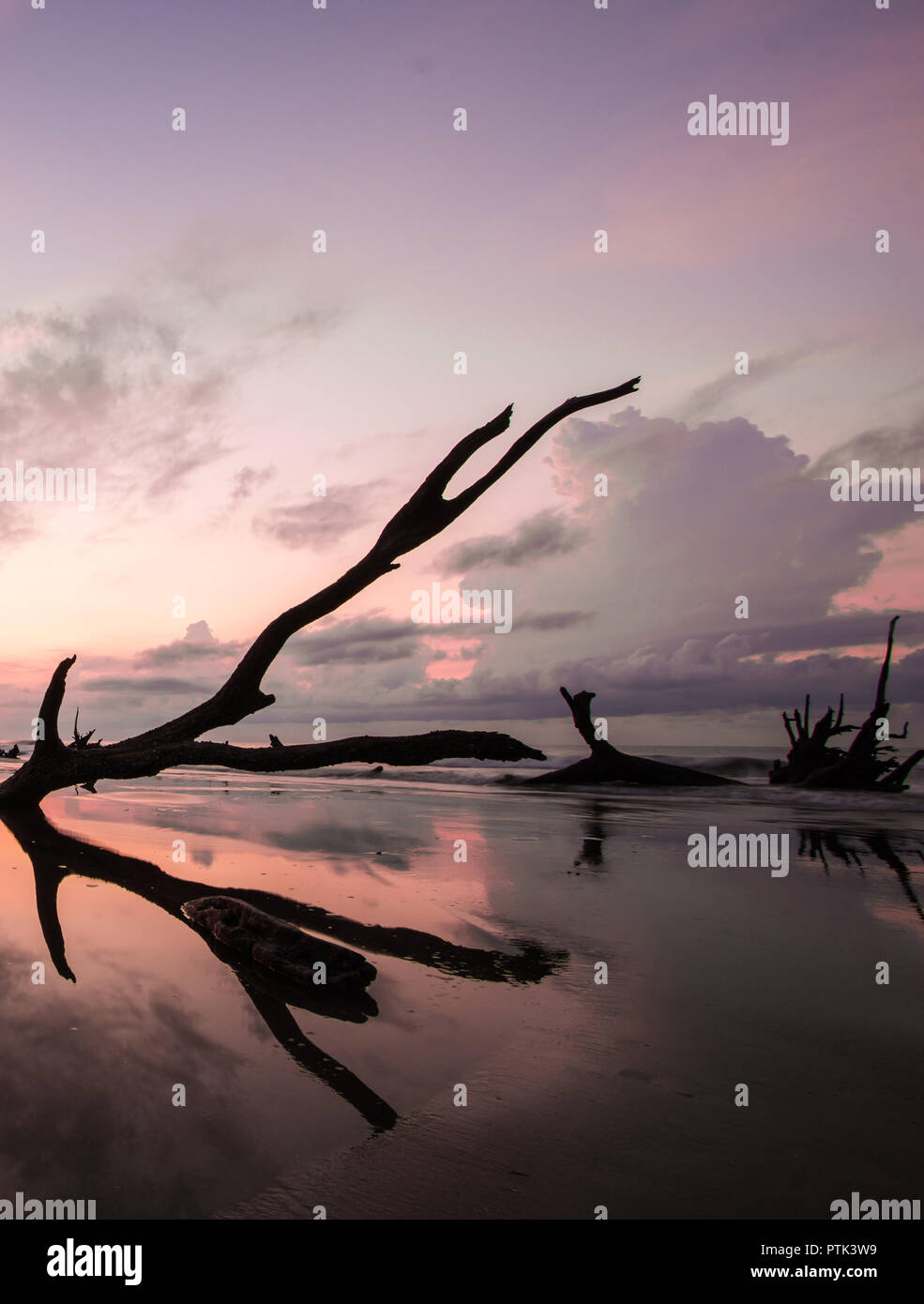 Sunrise su una calma e spiaggia vuota con driftwood e riflessioni Foto Stock