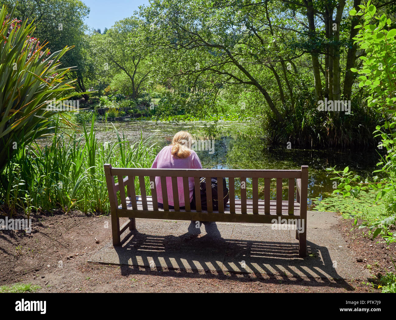 Una giovane donna seduta su una panchina al bordo delle acque di un piccolo laghetto in St Andrews Botanic Gardens in Fife in Scozia. Foto Stock