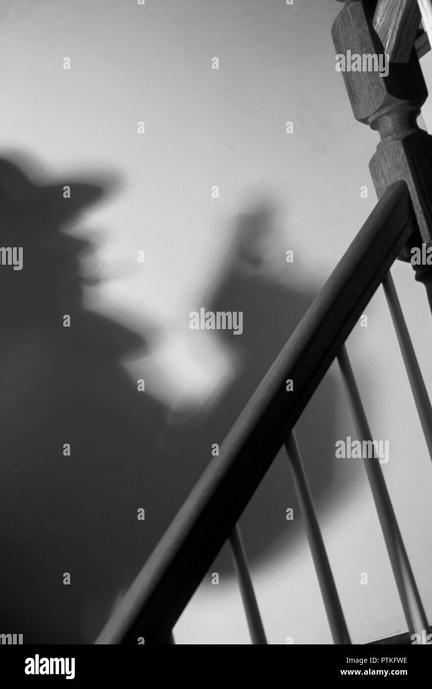 Ombra di uomo con pistola su scale, STATI UNITI D'AMERICA Foto Stock