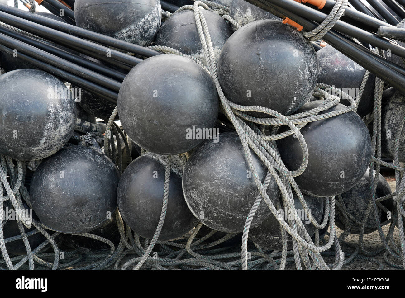 Nero in plastica sferiche galleggianti delle reti da pesca al di fuori dell'acqua in porto Foto Stock