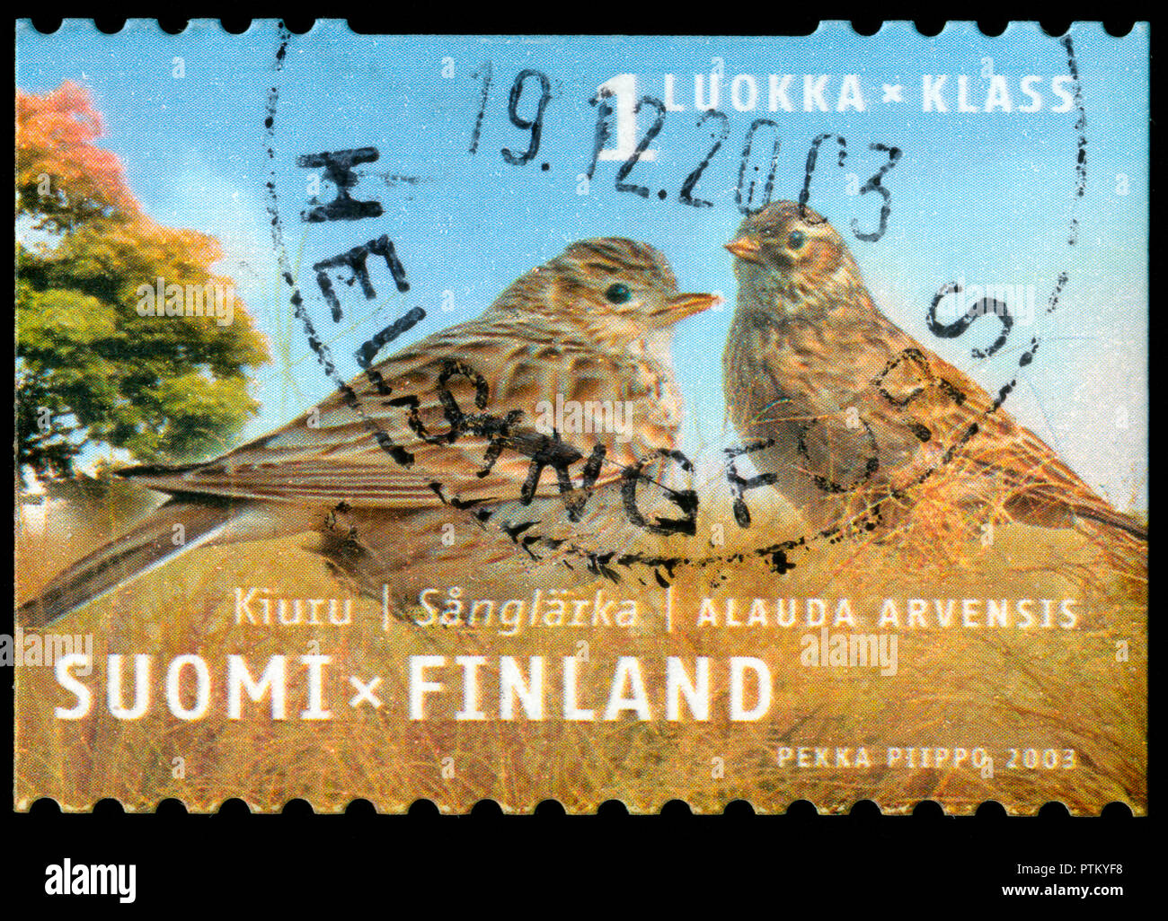 Con timbro postale timbro dalla Finlandia in uccelli regionale serie emesso nel 2003 Foto Stock