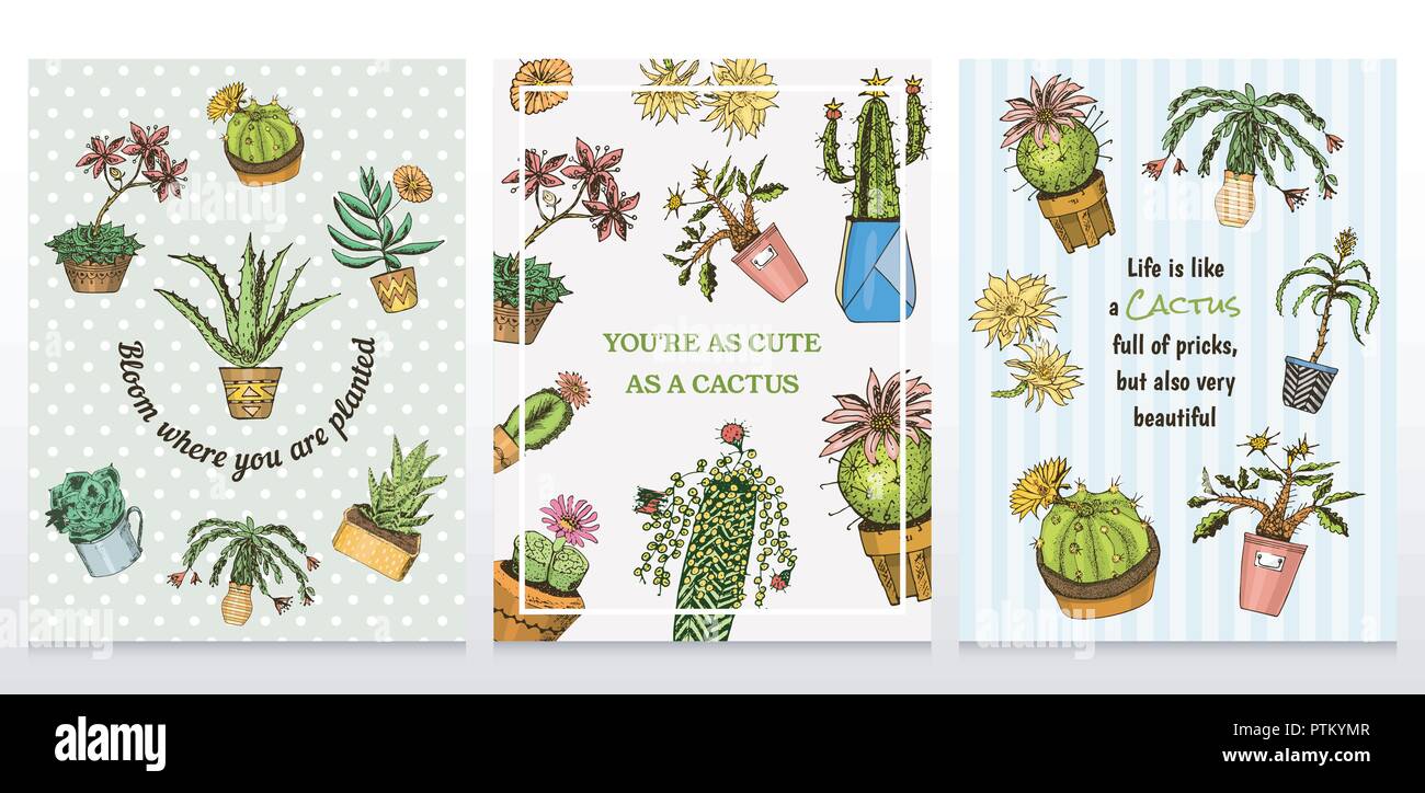 Set di schede cactus e modello di cute succulente. Adesivi per ragazze. Houseplants messicano poster. kawaii cactus. incisi disegnati a mano. vettore collezione in stile vintage. Illustrazione Vettoriale