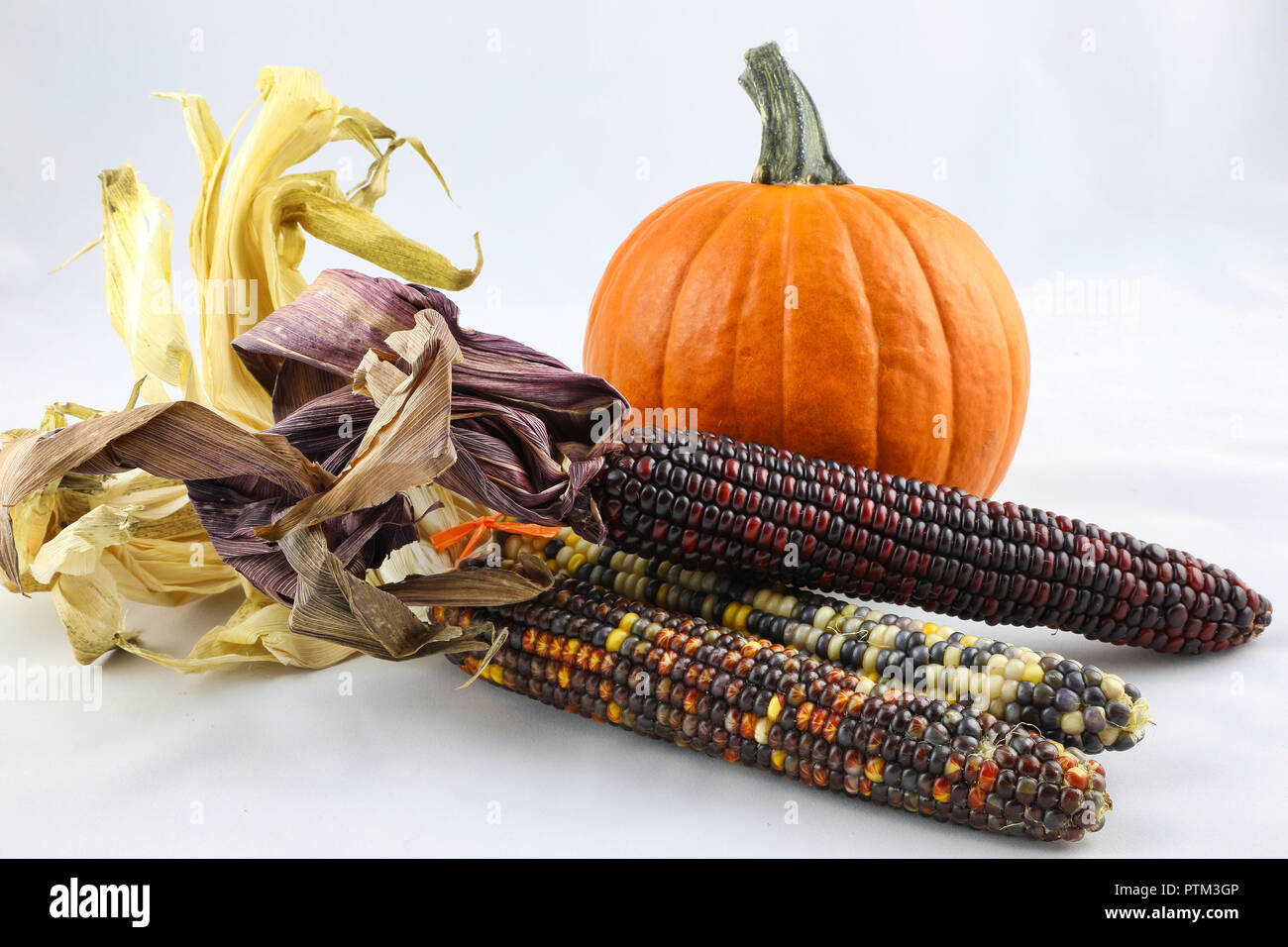 Harvest, ringraziamento, organico, autunno, sfondo, caduta, arancio, ottobre, zucca di Halloween, cibo, festival, spazio copia, vegetale, still life Foto Stock