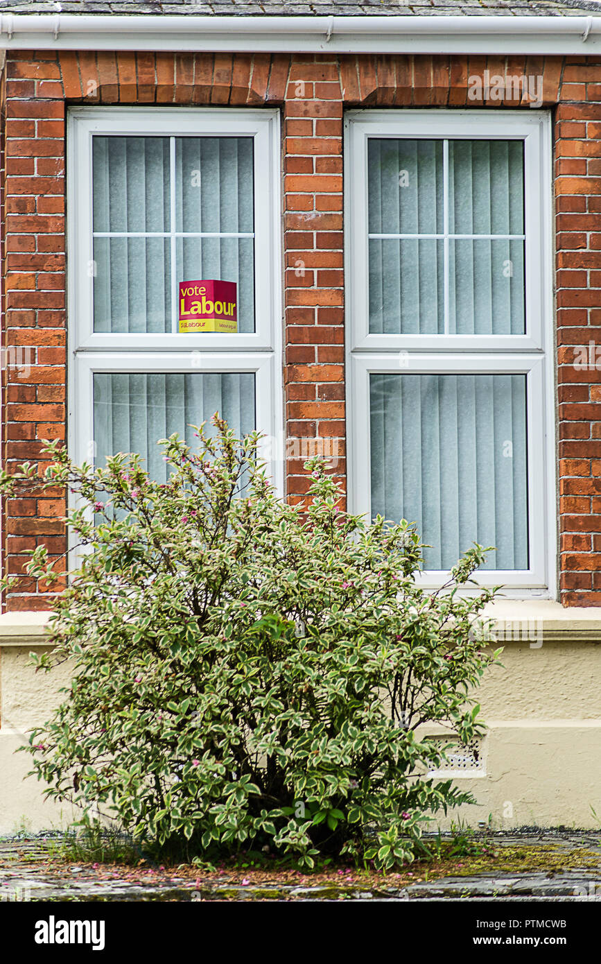 Voto segni del lavoro e poster su porte e finestre di Case in Falmouth, Cornwall. Regno Unito Foto Stock