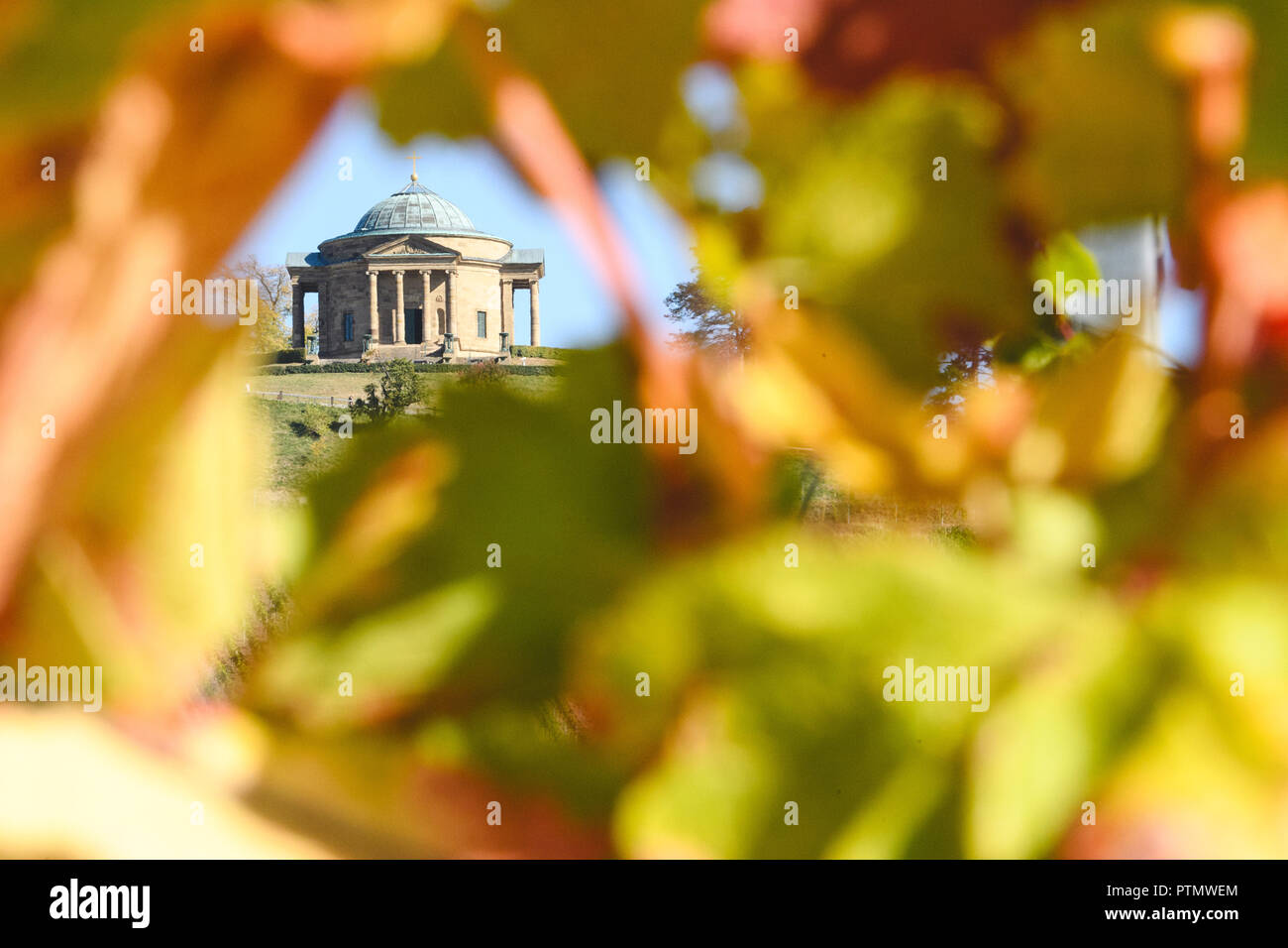 Il 10 ottobre 2018, Baden-Wuerttemberg, Stoccarda: colorato di foglie di vite appeso di fronte alla sepoltura Rotenberg cappella. Foto: Sebastian Gollnow/dpa Foto Stock