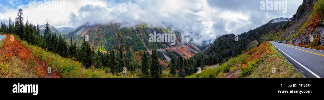 Panorama del monte Rainier area da Stevens Canyon Road Foto Stock