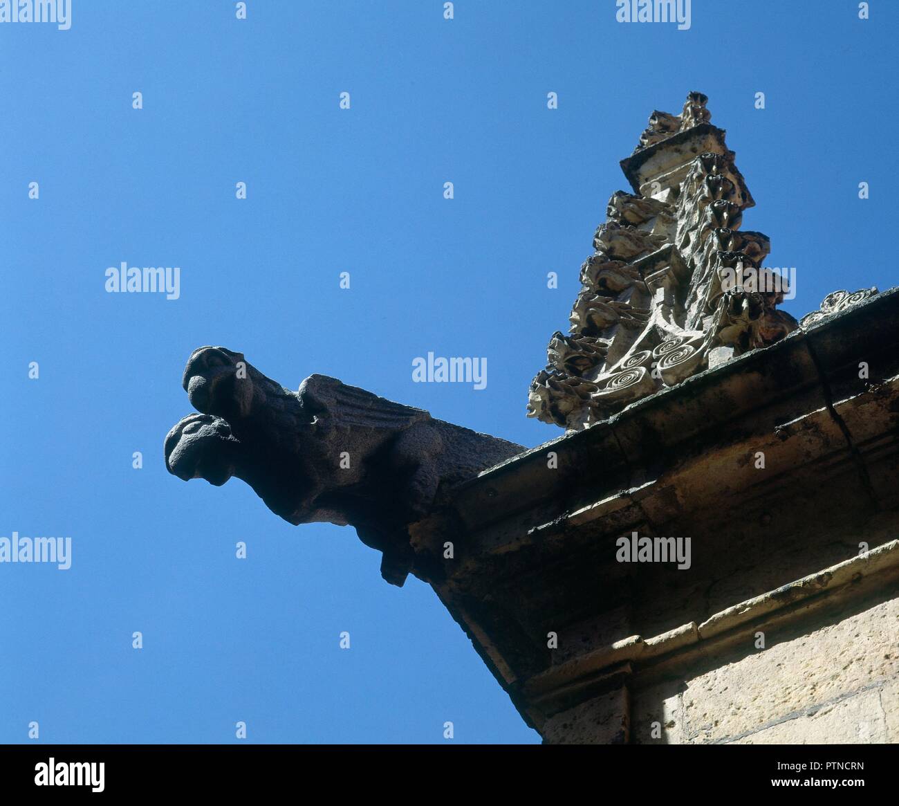 Esterno-DET GARGOLA Y CHAPITEL-gotico-S XVI. Autore: GIL DE HONTAÑON RODRIGO. Posizione: Catedral. SEGOVIA. Spagna. Foto Stock